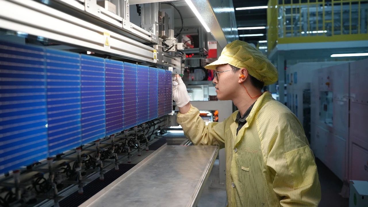 65d63aefb5eb7736585c4342fae6fefc.jpg 65d63aefb5eb7736585c4342fae6fefc.jpg