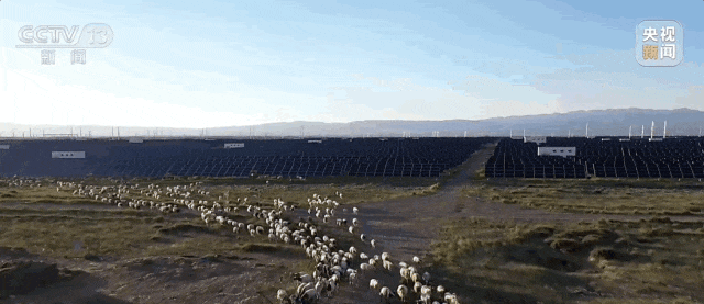 95cccc0029a60ec2f94f3cd3f25a2a76.gif 95cccc0029a60ec2f94f3cd3f25a2a76.gif