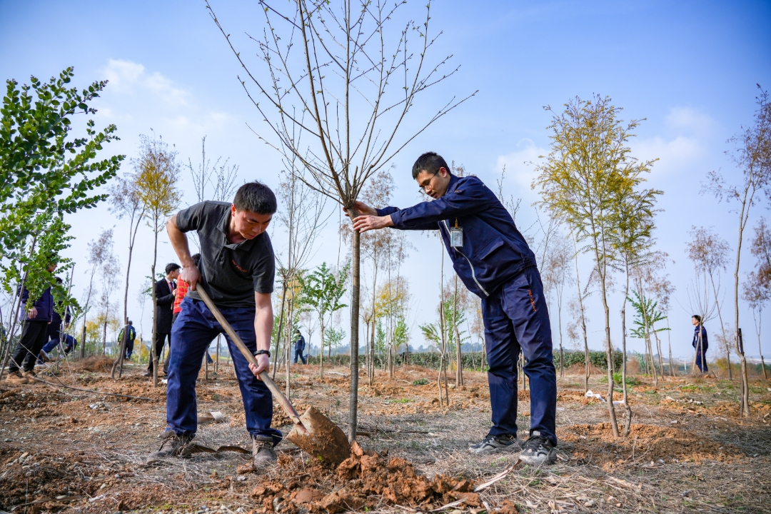 aeba3ed65f3856ff90860068c50be4a9.jpg aeba3ed65f3856ff90860068c50be4a9.jpg