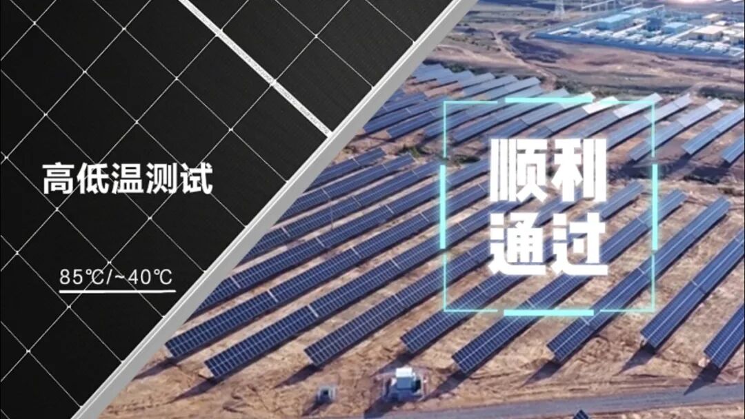 ba9270a1355aa8272e1cdc6cfad98955.jpg ba9270a1355aa8272e1cdc6cfad98955.jpg