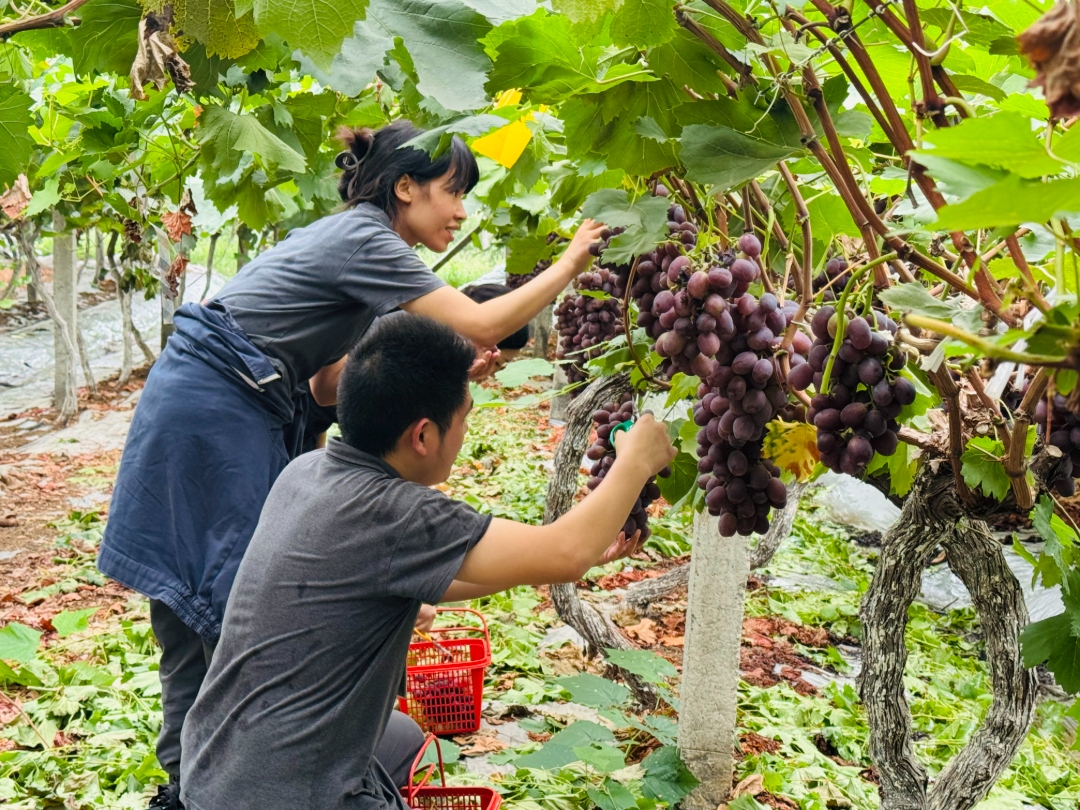 0191888ad4fac96928ca9fce5e879983.jpg 0191888ad4fac96928ca9fce5e879983.jpg