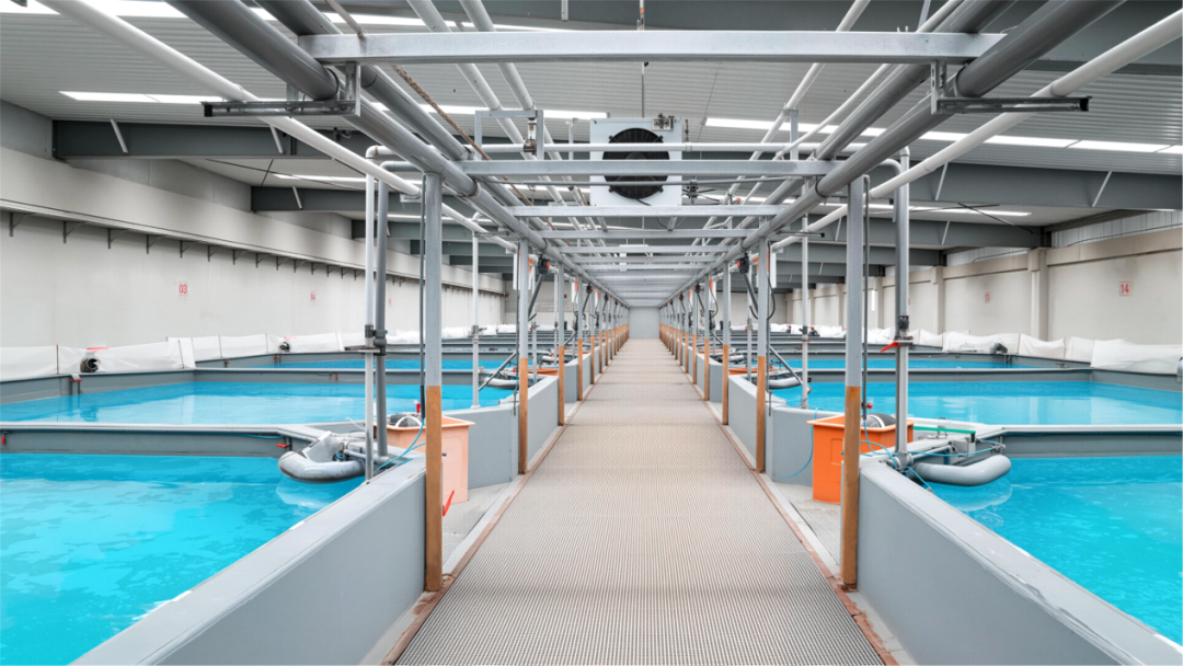 1415eebd4e53d884c258dee0b69a77b8.png 1415eebd4e53d884c258dee0b69a77b8.png